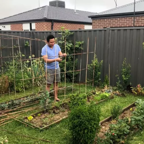 Common-Problems-with-Backyard-Gardening1.webp